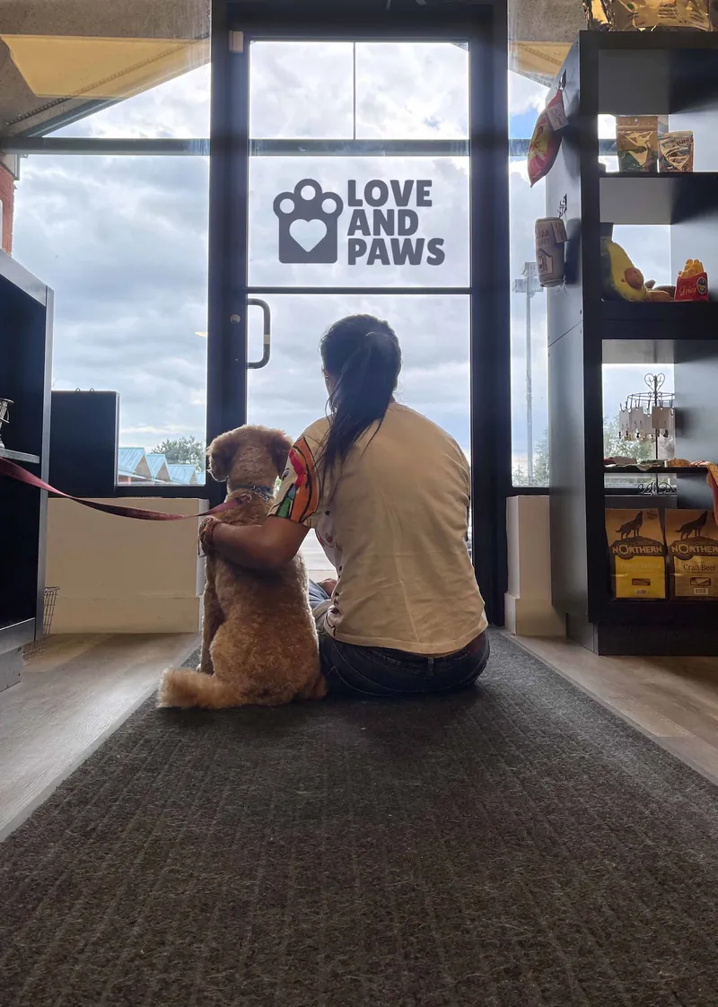 Pet treats and toys at LOVE AND PAWS